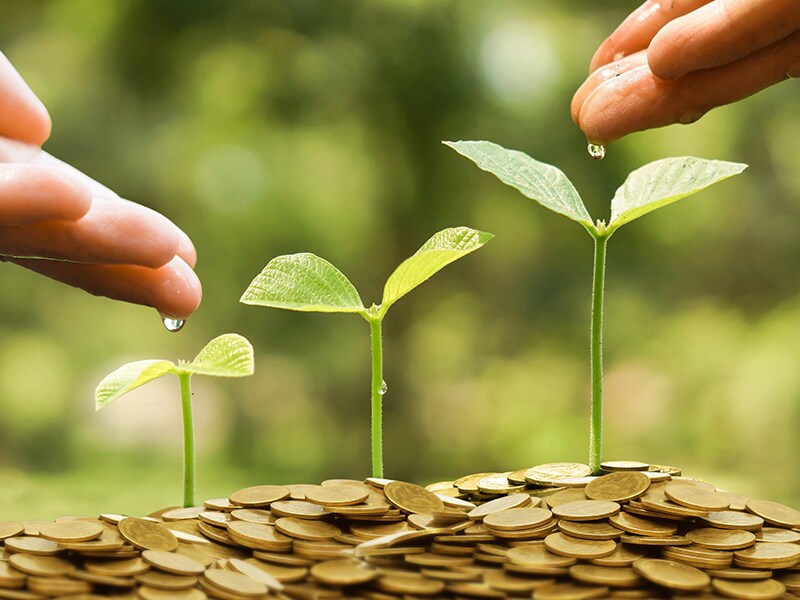 How do shareholder engagements work?