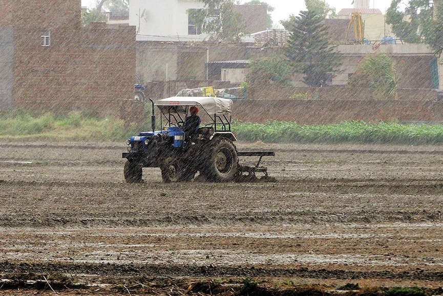 tractor sale