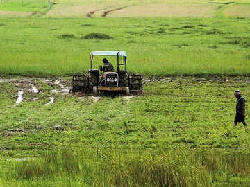 An uncertain rural boom