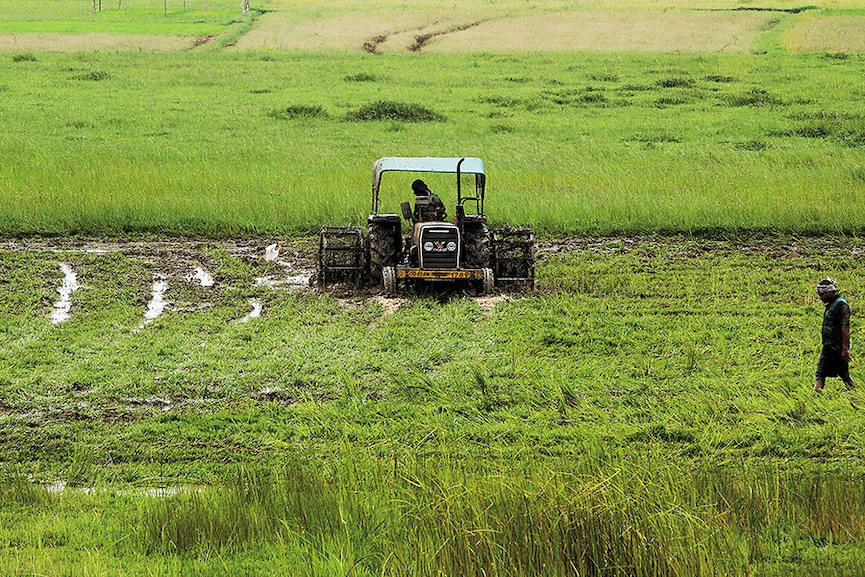 rural india