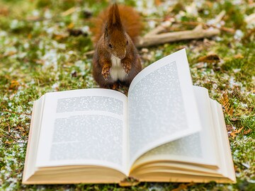 Ten interesting things we read this week