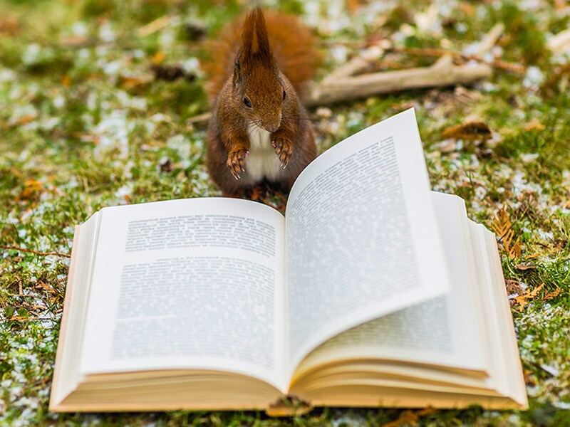 Ten interesting things we read this week