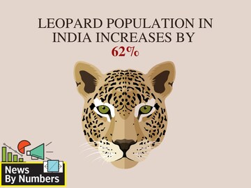 News by Numbers: India's leopard population grows 62% in 4 years but still 'vulnerable'