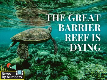 The Great Barrier Reef is dying, here's why