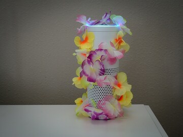 Indians are saying 'Alexa, I love you' once every minute