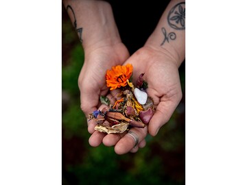 The iPhone at the Deathbed