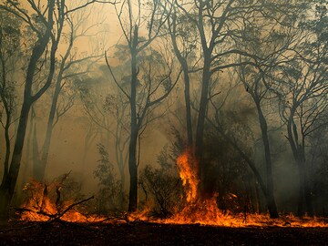 Climate Change Could Blow Up the Economy. Banks Aren't Ready