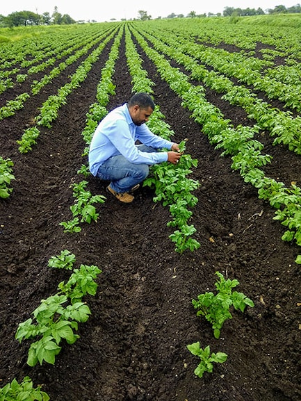 opening_sambhajijaid_farmer