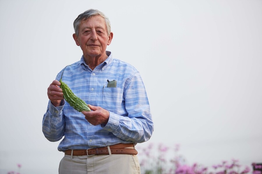 east-west_2  - 900x600