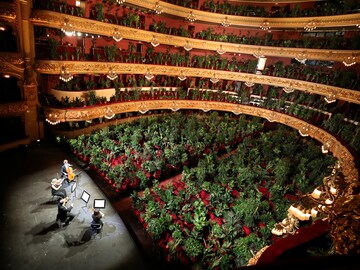 Photo of the Day: An opera for plants