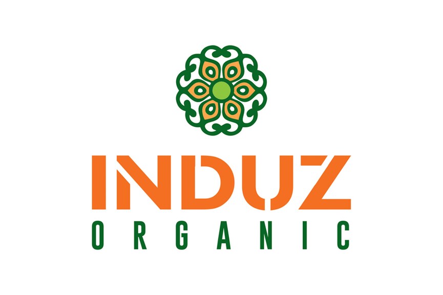 induz logo 900x600px