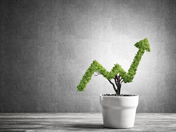 Making Digital Transformation a Success