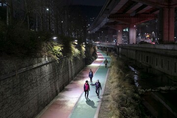 How South Korea flattened the curve