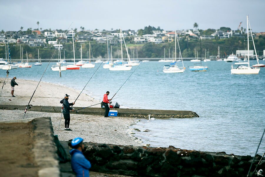 fishing in auckland