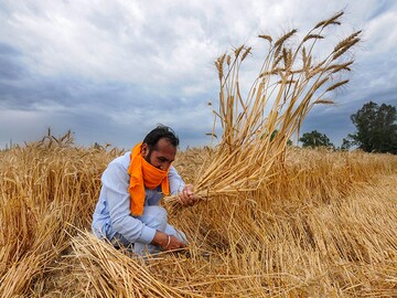 Covid-19 economic package: Farmers' turn to get relief