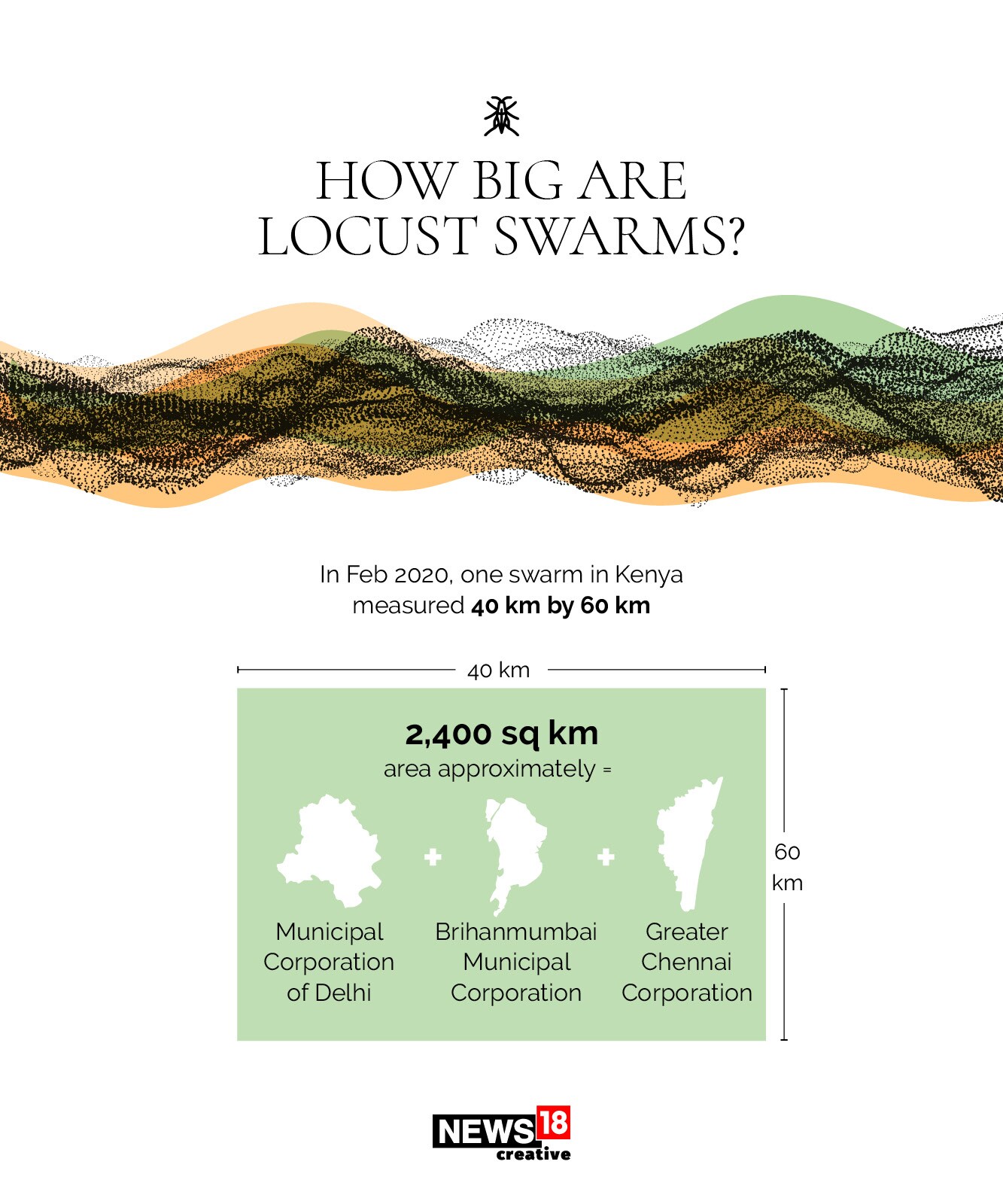 EXPLAINED: Why India is facing its worst locust attack in three decades