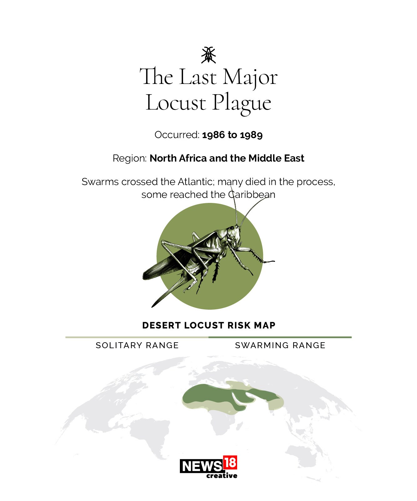 EXPLAINED: Why India is facing its worst locust attack in three decades