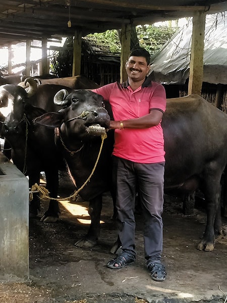 akanksha dairy farm