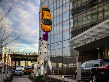 Photo of the Day: Spot the Dog has a friendly reminder