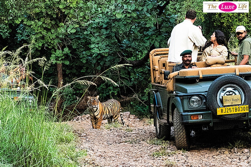 ranthambore