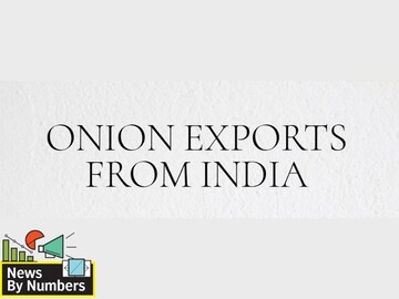 News by Numbers: Govt bans onion exports, see value, top importers