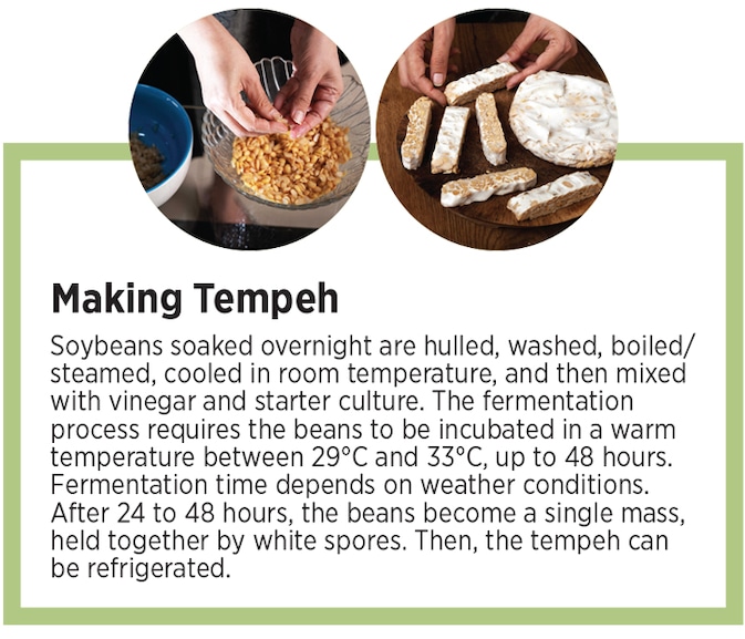 tempeh2