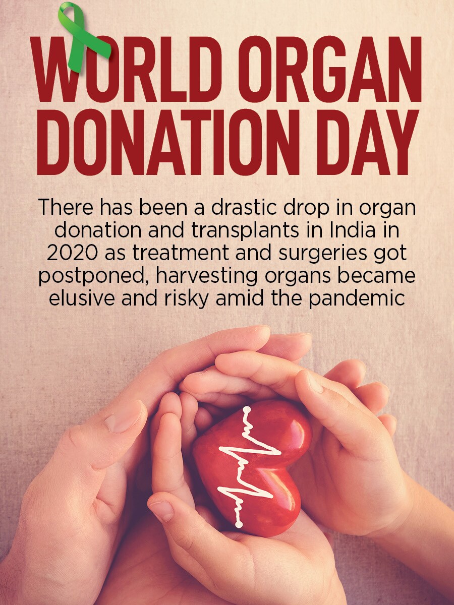 World Organ Donation Day: Total transplants in India fall 72% in 2020 amid Covid