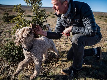 South Africa's 'crazy' mountain farmers cash in on truffle bet