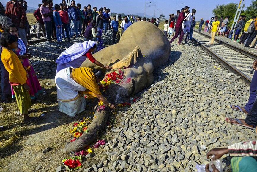 Photo Of The Day: Rest in peace