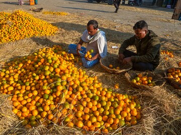 Photo Of The Day: Vitamin C