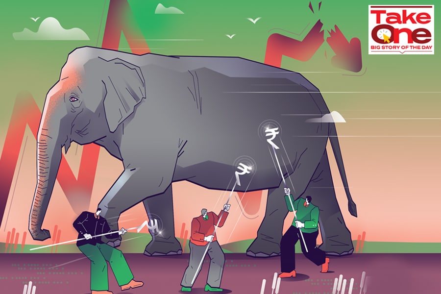 How to tame the elephant in the economy