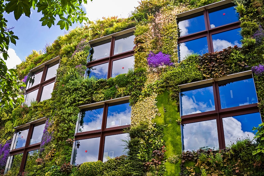 Could green walls be a solution for building insulation?