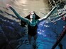 Yusra Mardini: From war-torn Syria to the Olympics—redefining the concept of winning