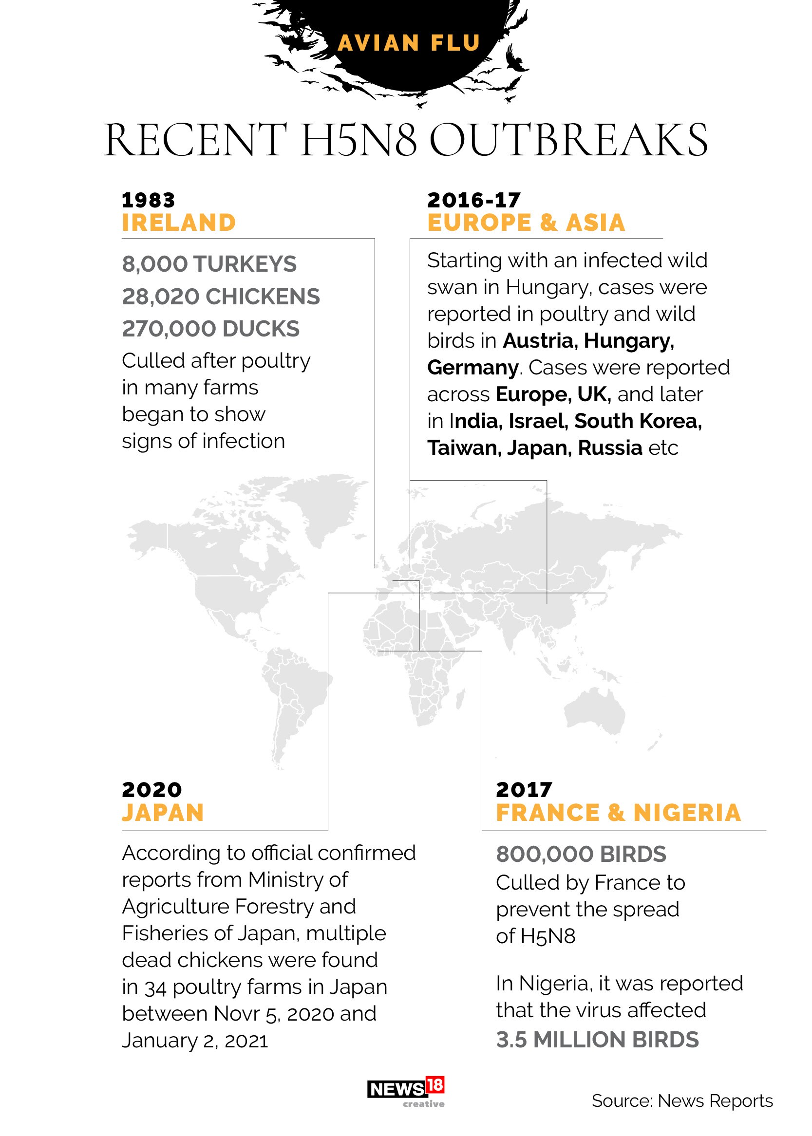 News By Numbers: What we know about Avian Flu that has killed over 2,000 birds