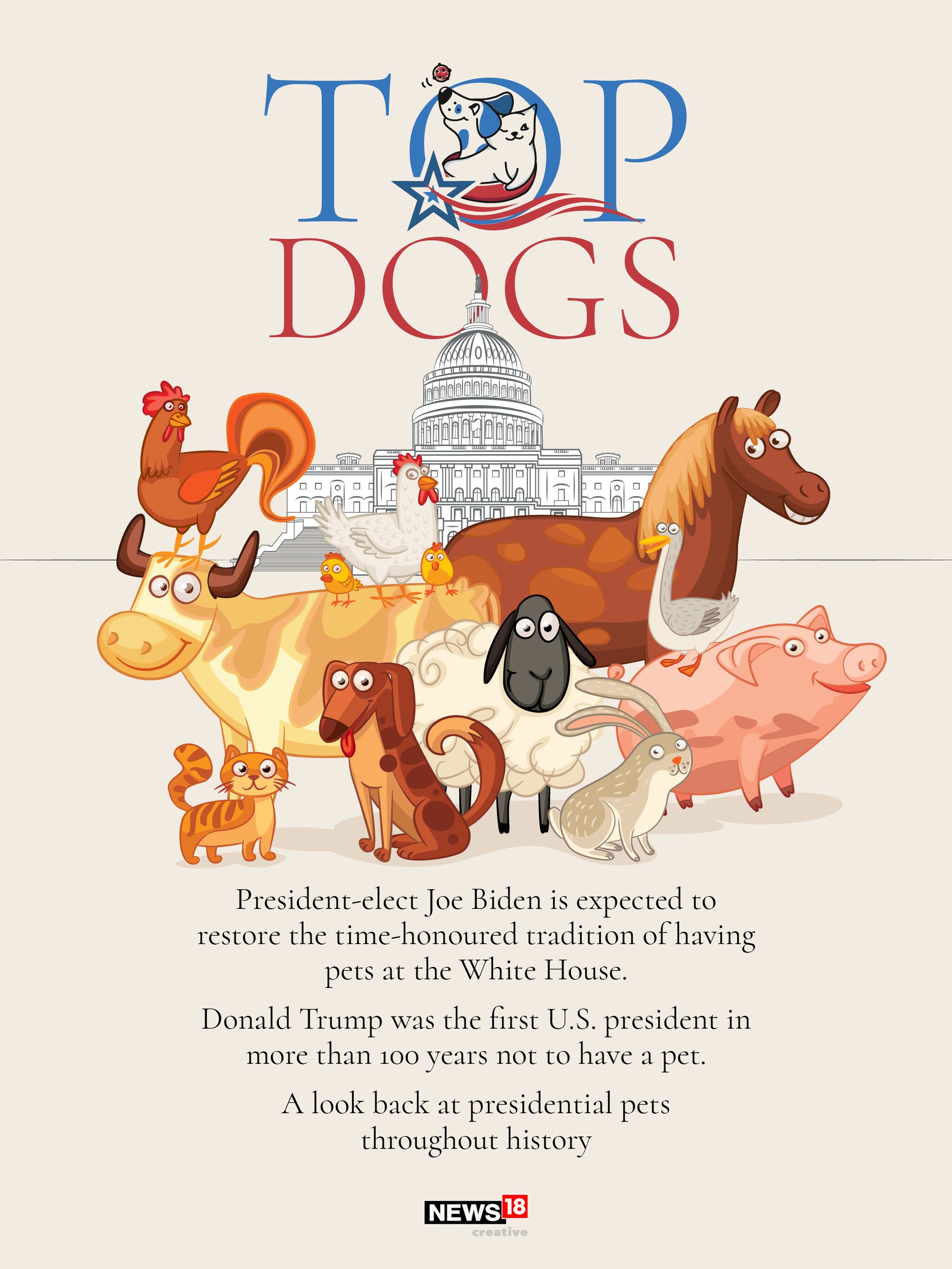 Champ, Major, and all the presidents' pets in US history