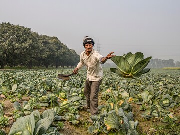 Budget 2021: Amid farmer protests, what to expect for agriculture