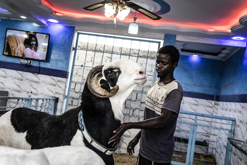 Photo of the day: Preparing for Eid