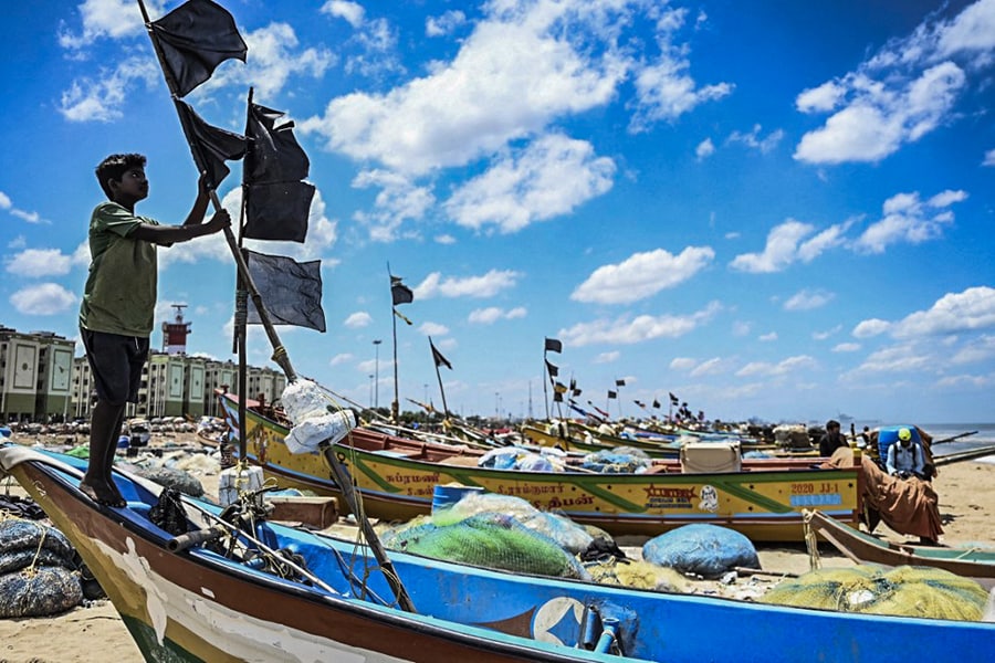 Photo of the day: Waving the flag