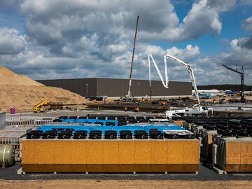 Tesla's factory in Berlin runs into activists, red tape and lizards