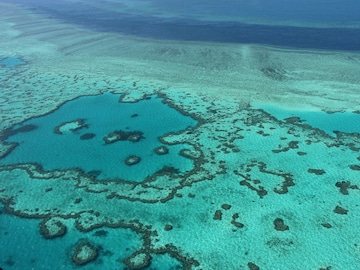 From Great Barrier Reef to Tanzanian game reserves, UN World Heritage sites in danger