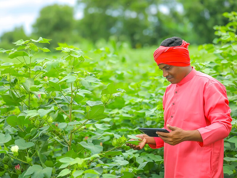 How an advice hotline is making farmers in India more productive