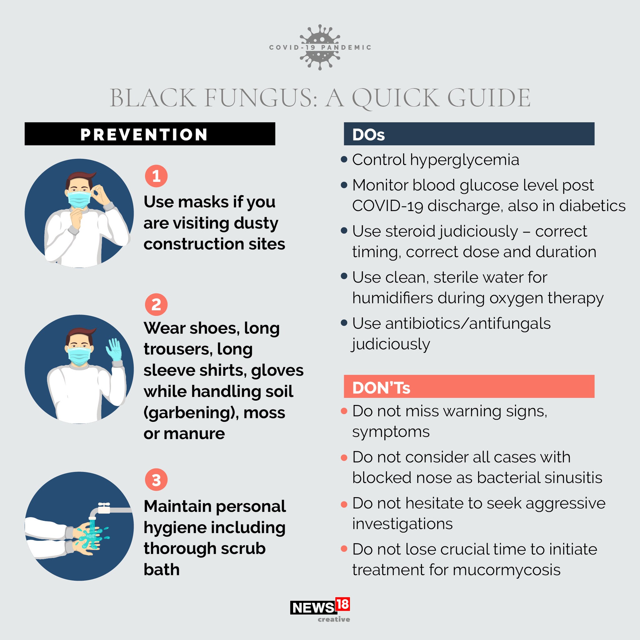 What is mucormycosis, or Black Fungus?