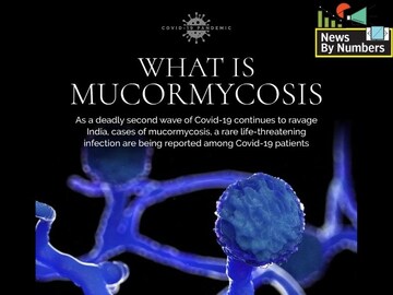 What is mucormycosis, or Black Fungus?