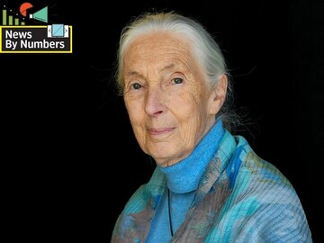 Jane Goodall wins Templeton Prize: Her life in work