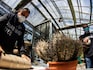 Global cactus traffickers are cleaning out the deserts