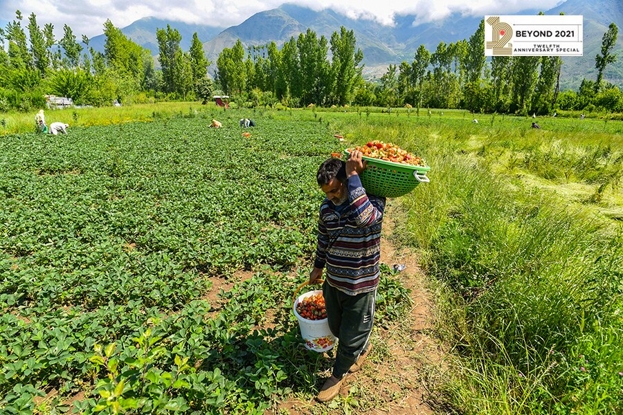 India can be a global leader in building a nature-positive economy