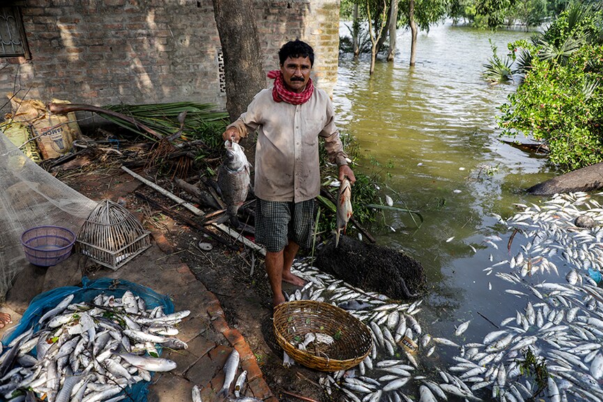 Photo of the day: Cyclone Yaas, the aftermath