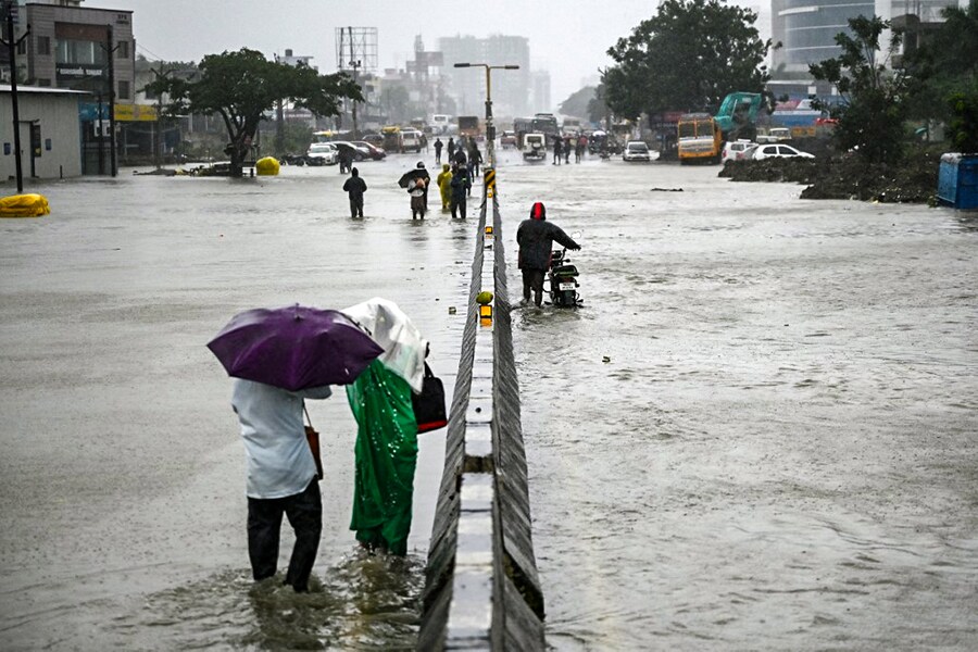 Photo Of The Day: Wading through trouble