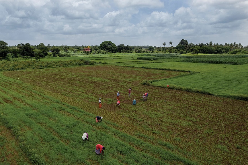 Monsoon is drawing to a close. Will the Gods show mercy on India's rain deficit?