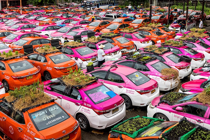 Bangkok's 'taxi graveyard' comes to life with mini-gardens